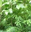P1010064