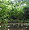 P1010087