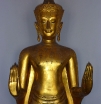 p1160423
