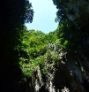 p1140514