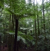 P1050645