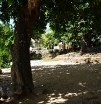 P1000069
