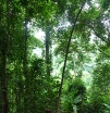 p1150991