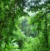 p1160017