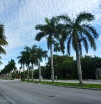 p1220028