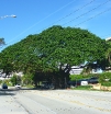 p1220330