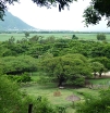 P1000263