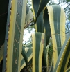 P1000292