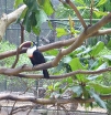 P1000317