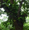 P1000348