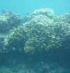 P1020028