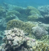 P1020040