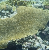P1020066