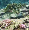 P1020068