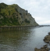 p1100485