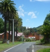 p1100509