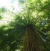 p1100740