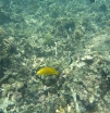 P1010846