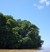 P1010331