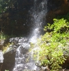 P1010351