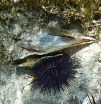 P1010394