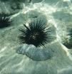 P1010423