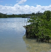 P1010466