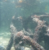 P1010487