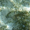 P1010514