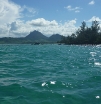 Ile aux Cerfs