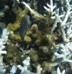P1000583