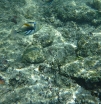 P1000671