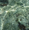 P1000672