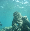 P1000704