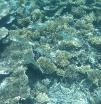 P1000719