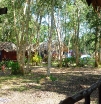 p1150649