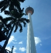 p1140646