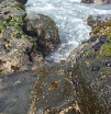 p1020369
