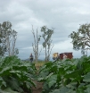 P1040591