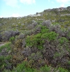 p1020573