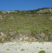 p1020579