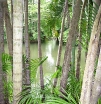 P1000120