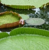 P1000143