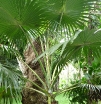 P1000151