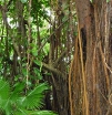 P1000153