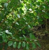 P1000157