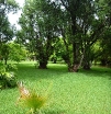 P1000192