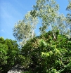 P1020250