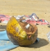 DSCN5392