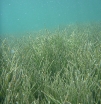 P1000421